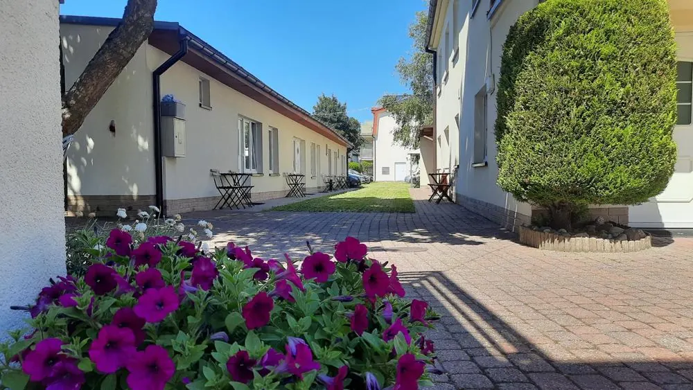 Podwórko z kostki brukowej i kwiatami między budynkami